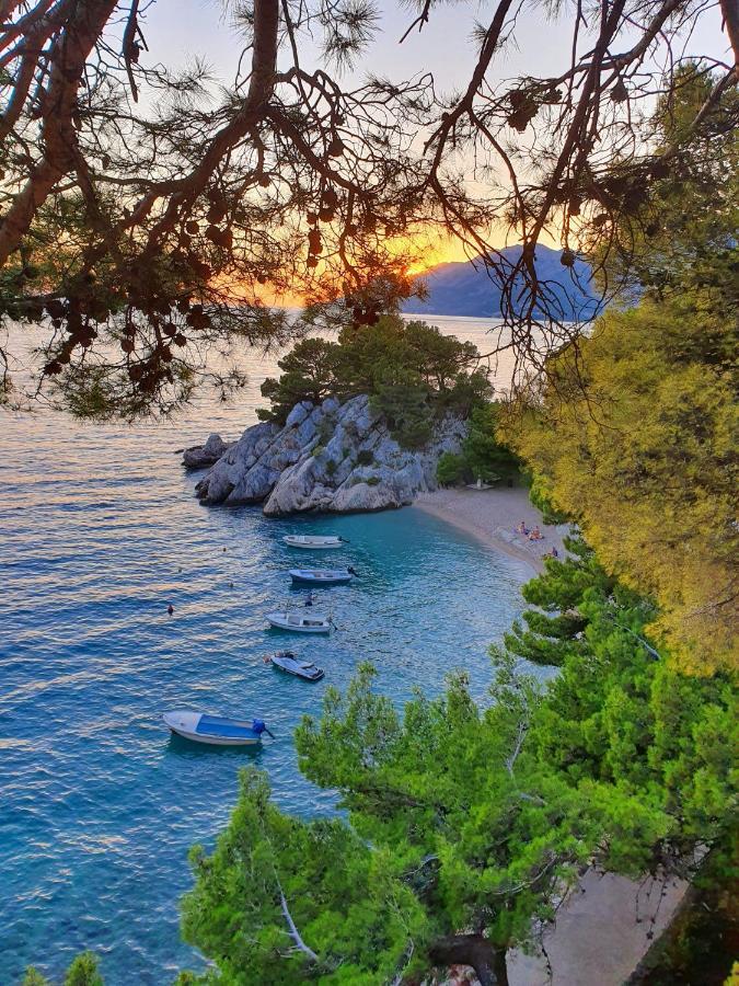 Seaview Appartement Sveti Filip i Jakov Buitenkant foto
