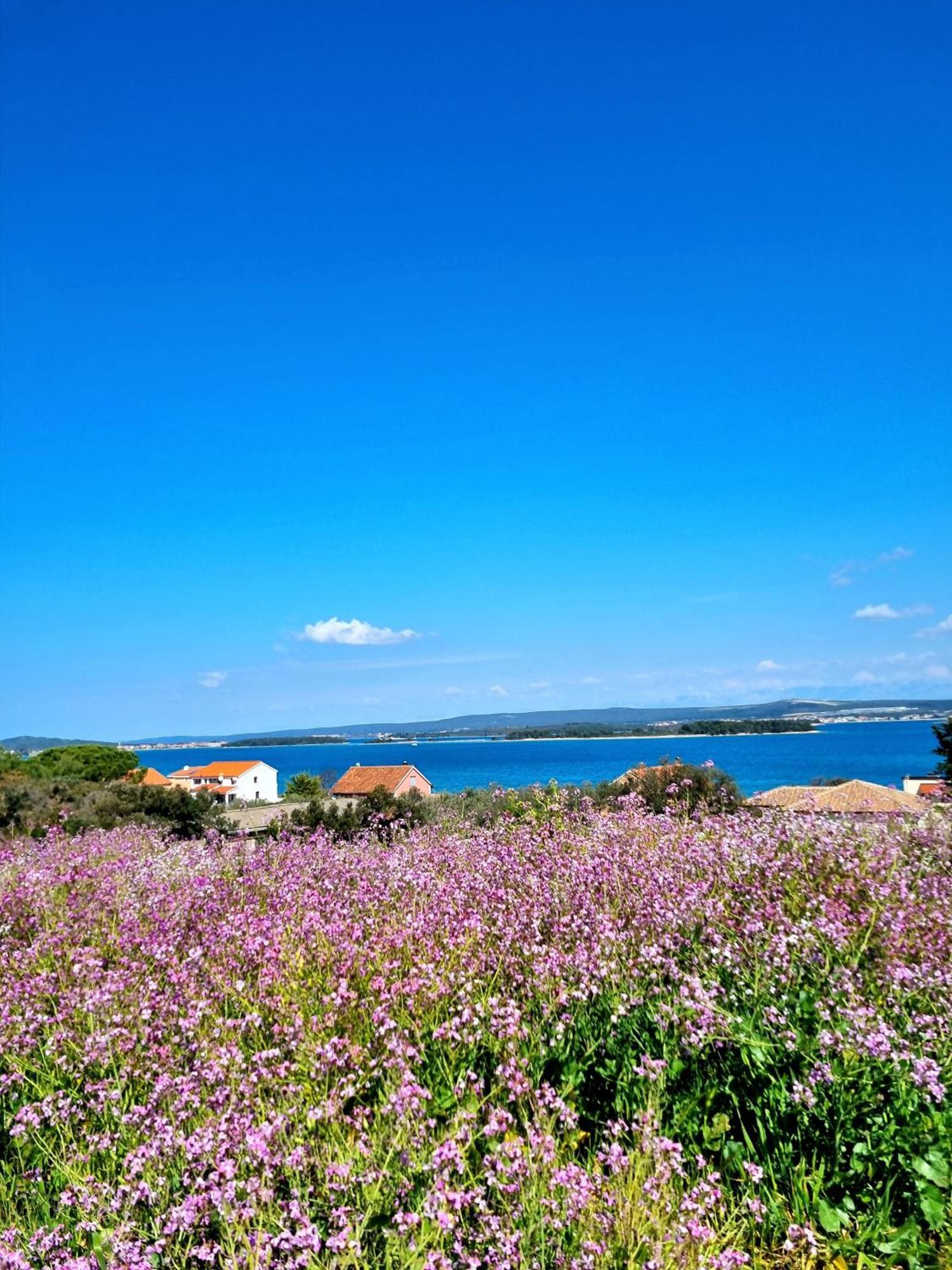 Seaview Appartement Sveti Filip i Jakov Buitenkant foto